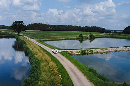 Hochzeitsfotograf Acantus Weisendorf - Hochzeitslocation Erlangen - 